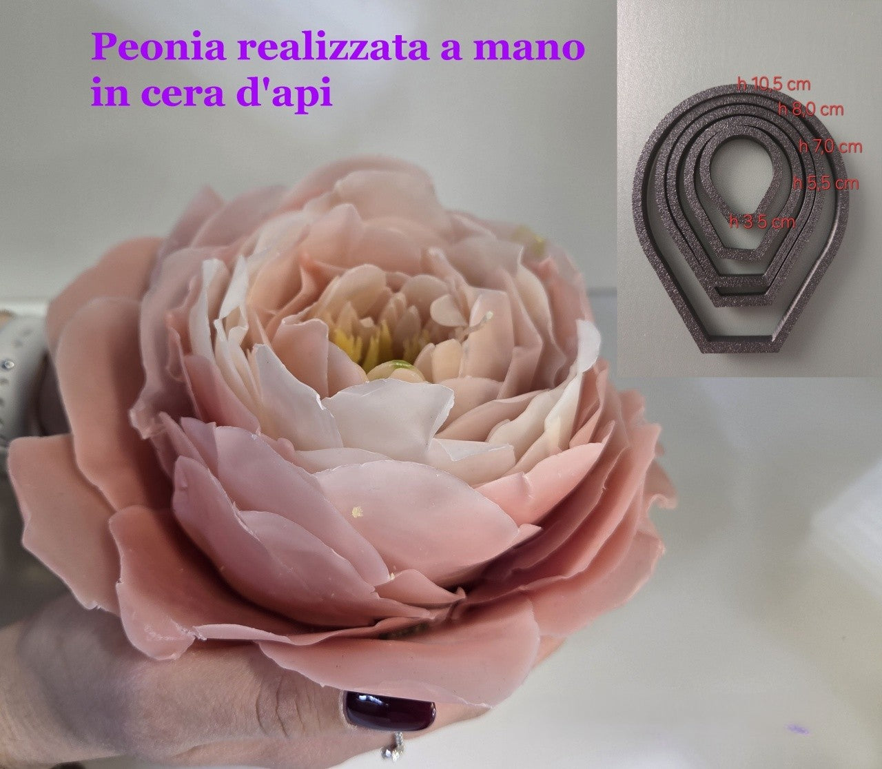 Peonia in Cera d'Api realizzata a mano. Set di 5 Stampi Cutter