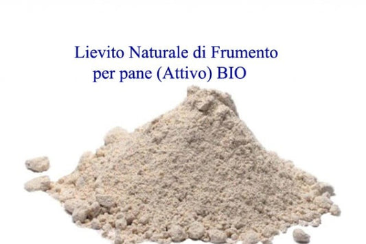 Lievito Naturale di Frumento per pane Attivo BIO. 250 gr