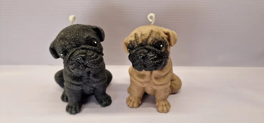 cane Carlino. Candela naturale al 100% in molti colori. WORLD PRODUCTS SHOP.