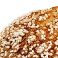 PANRICCONE VENEZIANO  1 KG.