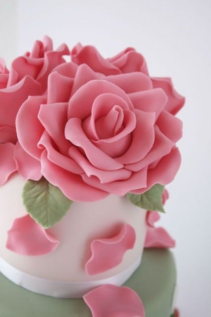Gum Paste Rosa 300 gr. per Fiori. Decorina Vip