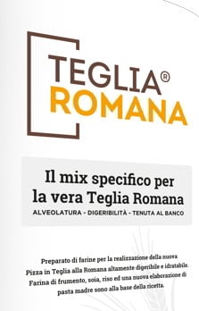 Pizza in Teglia alla Romana più pasta Madre.Lavorazione 4-48 ore