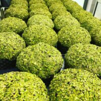 BRONTOLONE Panriccone al Pistacchio con farcitura