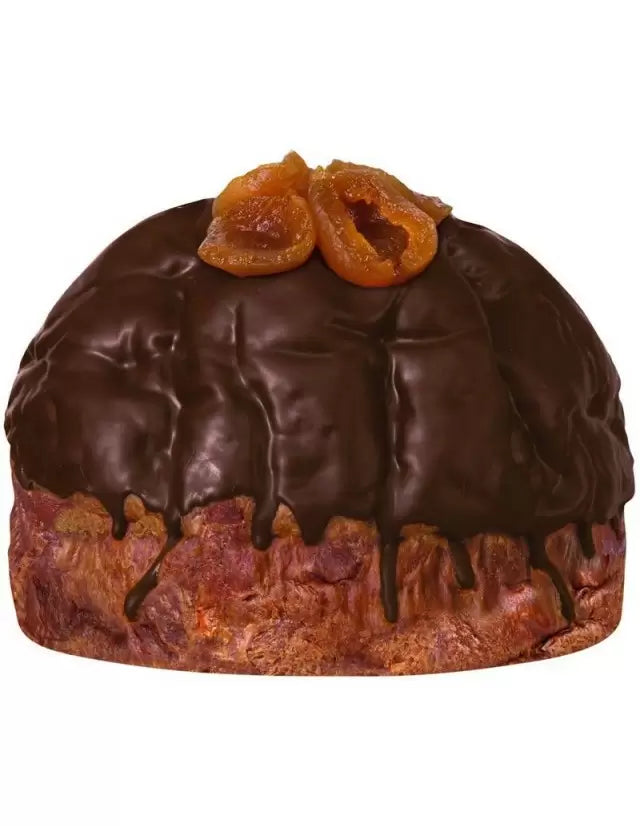 Panettone Artigianale PanSacher con Confettura di Albicocca e Finissimo Cioccolato.