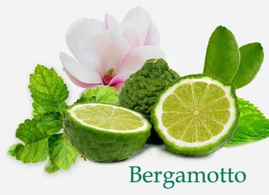 Bergamotto- Fragranza Per Candele