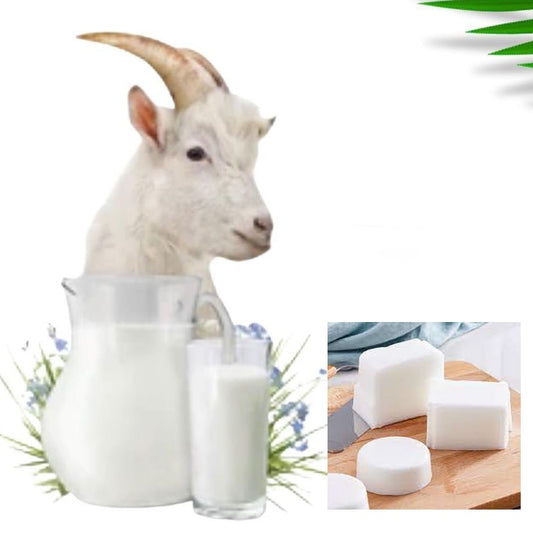 Latte di Capra. Sapone Bianco da 1-3 e 6 Kg. Base Melt and Pour