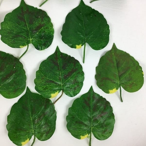 Gum Paste Verde 300 gr. per Fiori. Decorina Vip