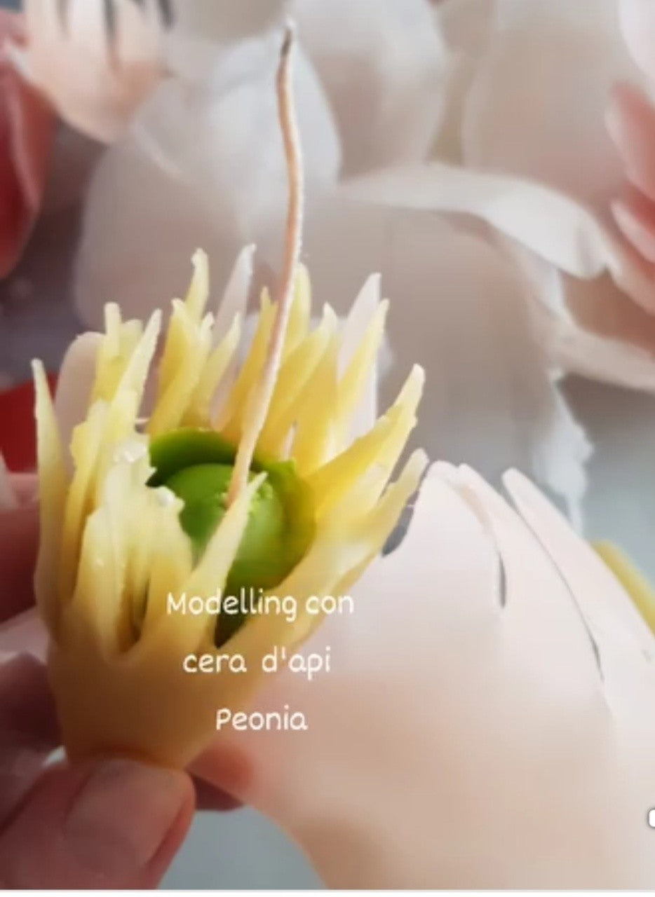 Peonia in Cera d'Api realizzata a mano. Set di 5 Stampi Cutter