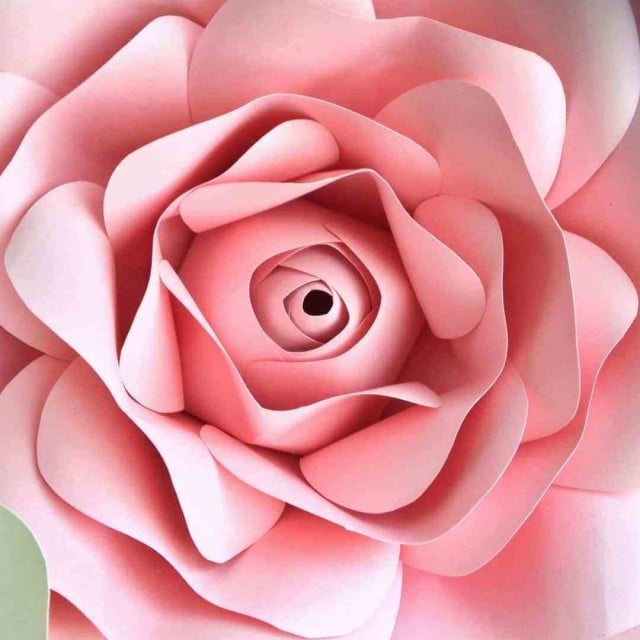 Gum Paste Rosa 300 gr. per Fiori. Decorina Vip